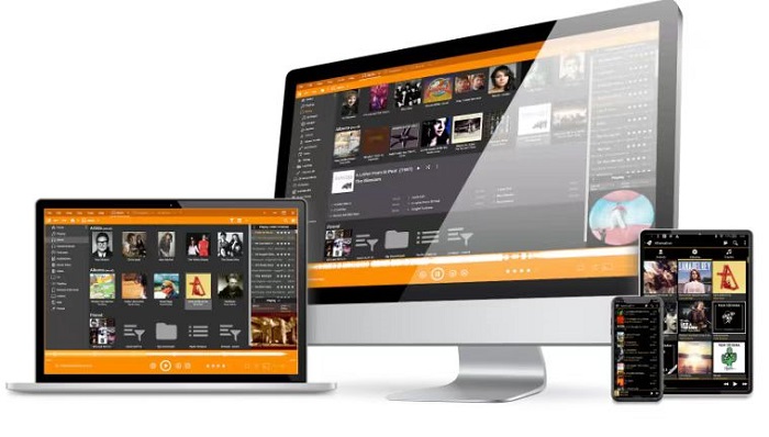 MediaMonkey features