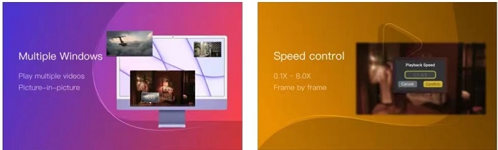 Omni Player features