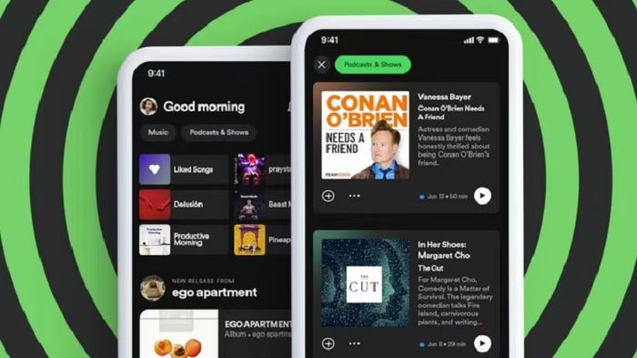 Spotify features